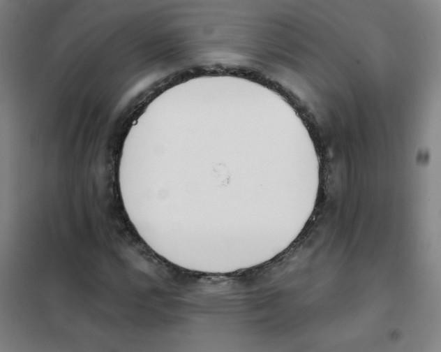 X0000101391112200808041011