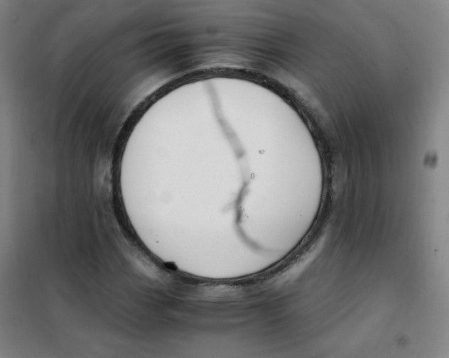 X0000101391113200808041011