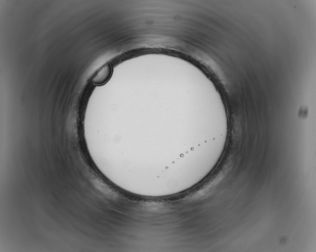 X0000101391114200808041011