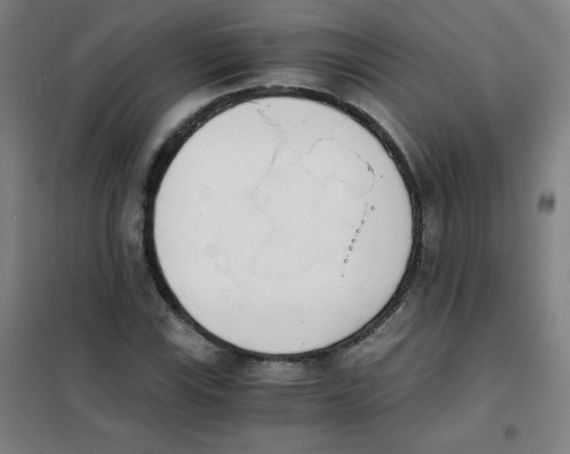 X0000101391115200808041011