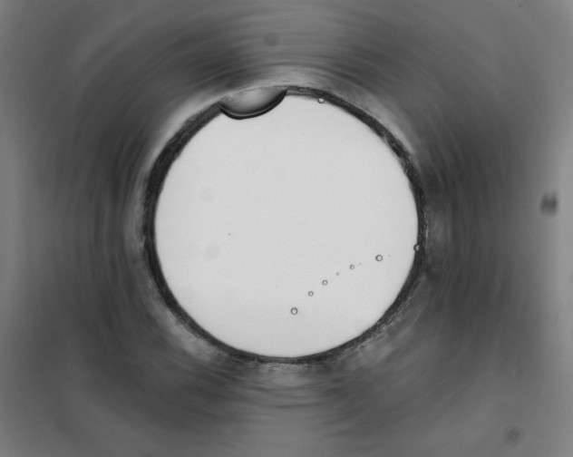 X0000101391116200808041011