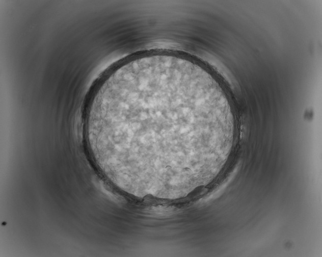 X0000101391117200808041011