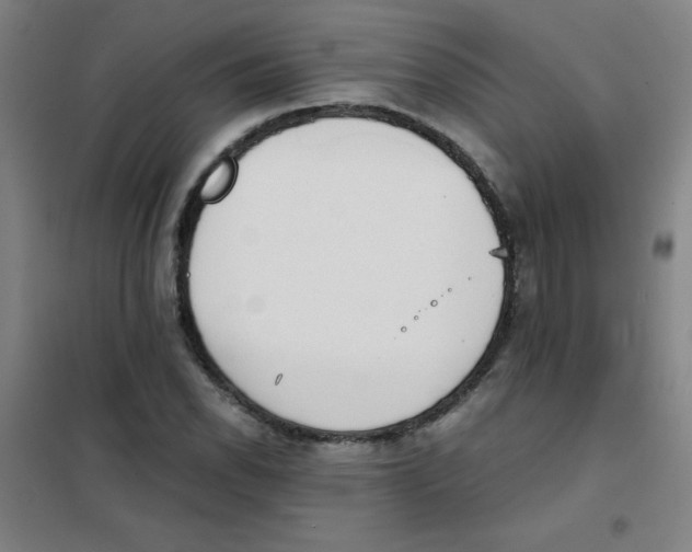 X0000101391118200808041011
