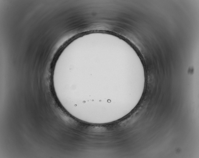 X0000101391119200808041011