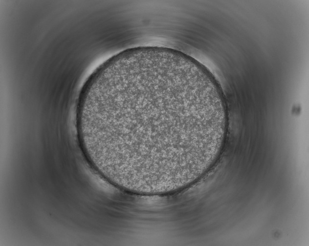 X0000101391120200808041011