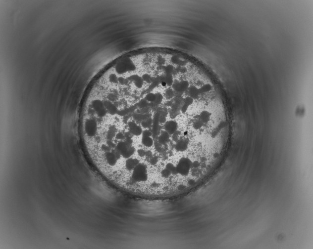X0000101391121200808041011