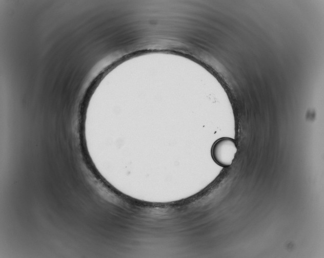 X0000101391122200808041011