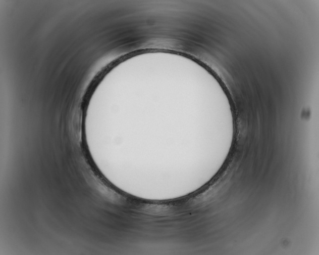 X0000101391123200808041011