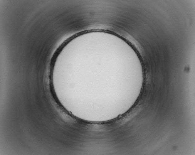 X0000101391124200808041011