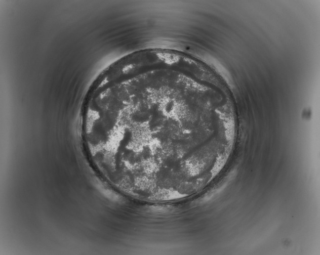 X0000101391125200808041011
