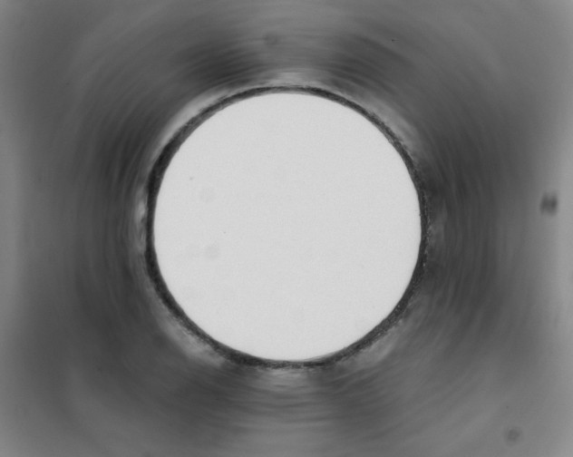 X0000101391126200808041011