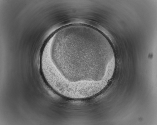 X0000101391127200808041011
