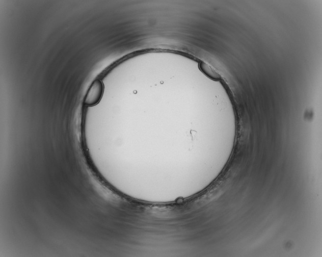 X0000101391128200808041011