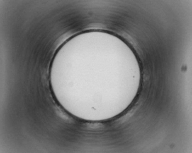 X0000101391129200808041011