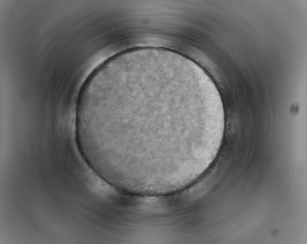 X0000101391130200808041011