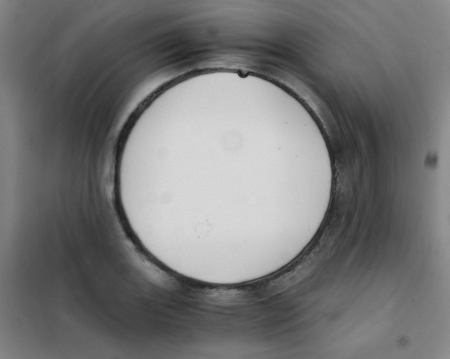 X0000101391131200808041011