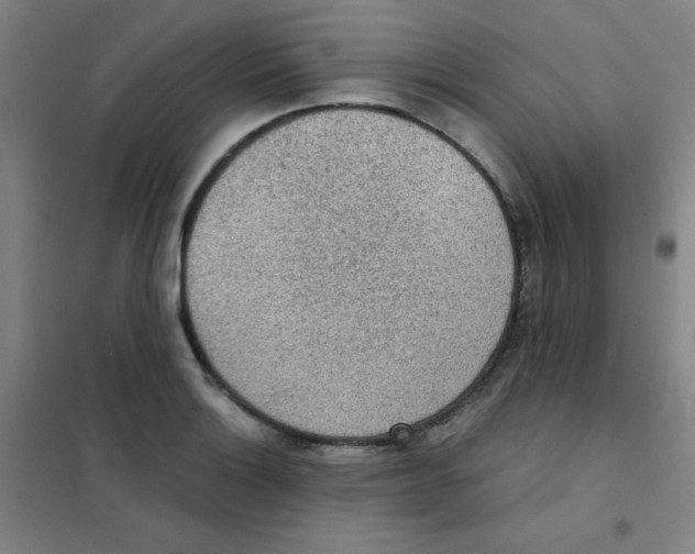 X0000101391132200808041011