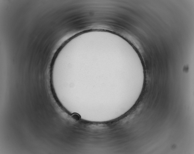 X0000101391133200808041011