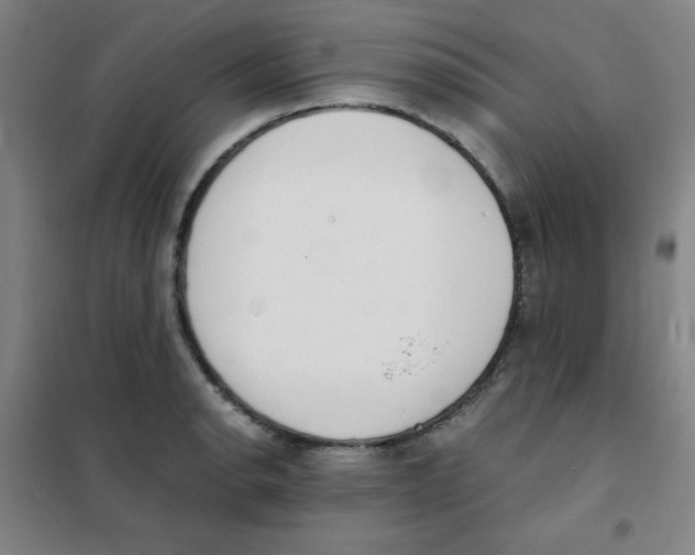 X0000101391134200808041011