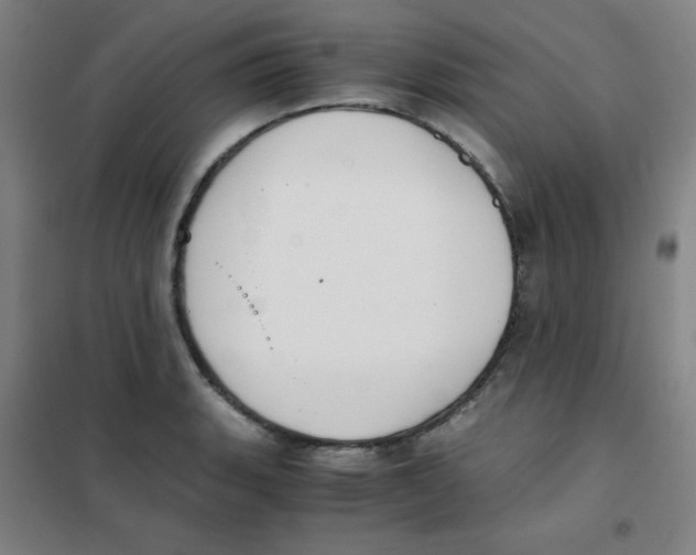 X0000101391135200808041011