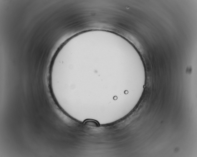 X0000101391136200808041011