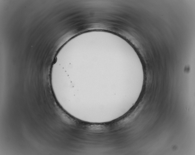 X0000101391137200808041011