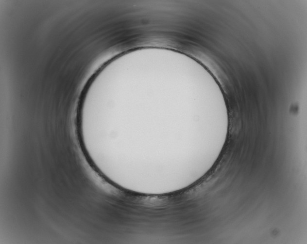 X0000101391139200808041011