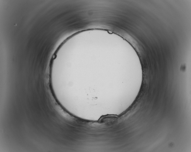 X0000101391140200808041011