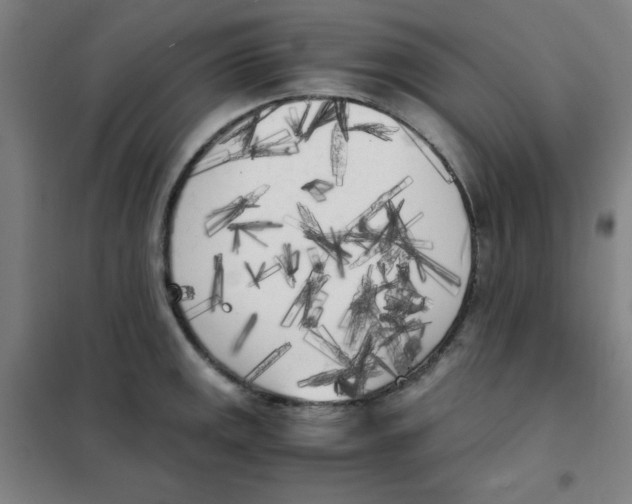 X0000101391141200808041011