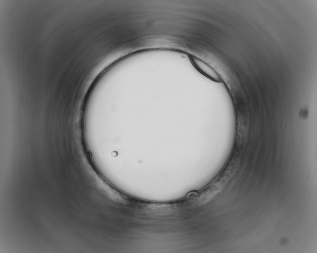 X0000101391142200808041011