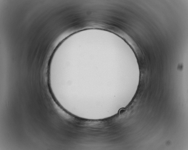 X0000101391143200808041011