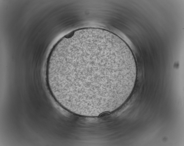 X0000101391144200808041011