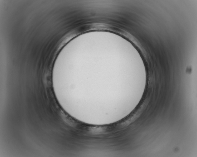 X0000101391145200808041011