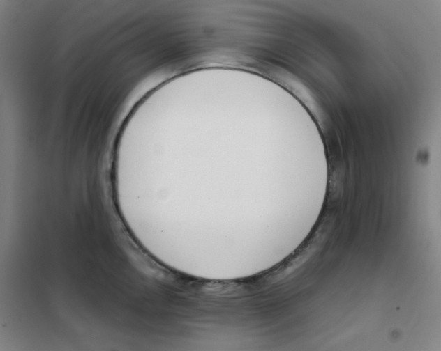X0000101391146200808041011