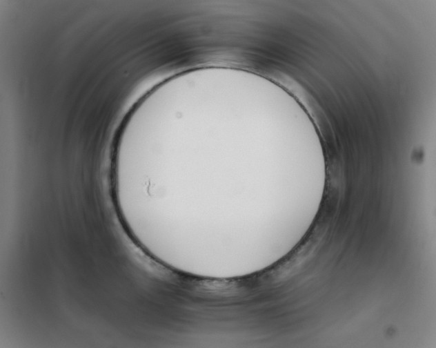 X0000101391147200808041011