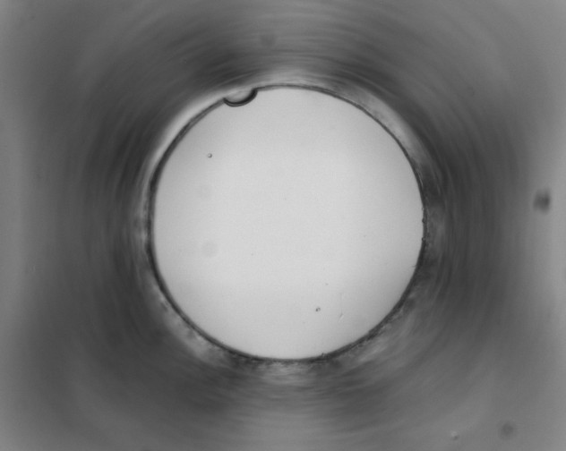 X0000101391148200808041011