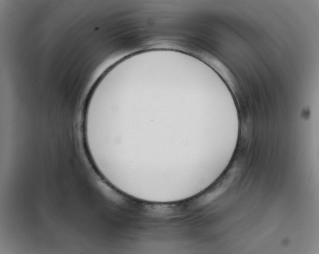 X0000101391149200808041011