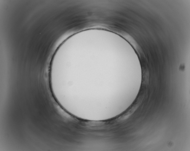 X0000101391151200808041011