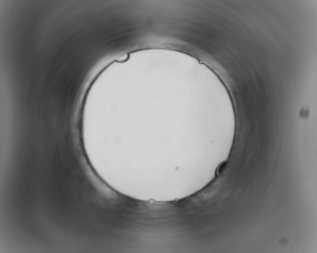 X0000101391152200808041011