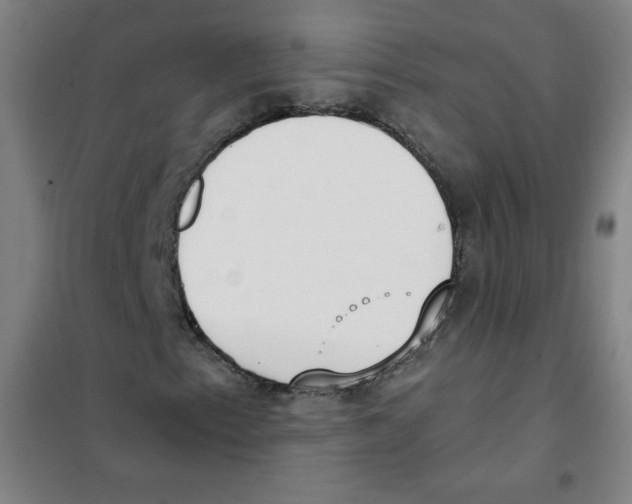 X0000101391153200808041010
