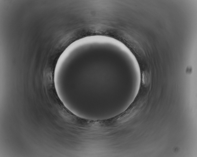X0000101391155200808041010
