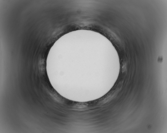 X0000101391156200808041010