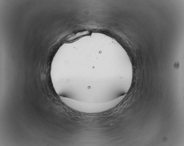 X0000101391157200808041010