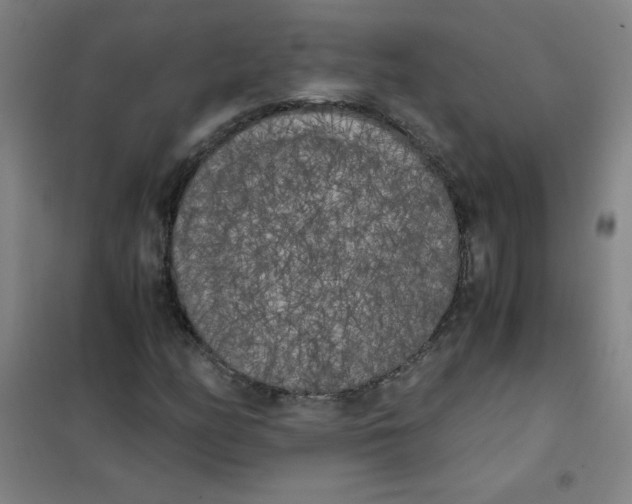 X0000101391158200808041010