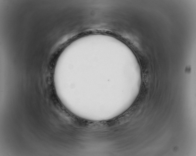 X0000101391159200808041010