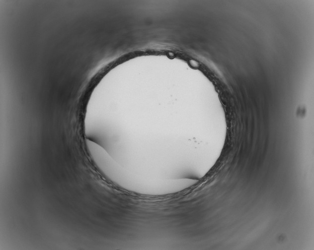 X0000101391160200808041010