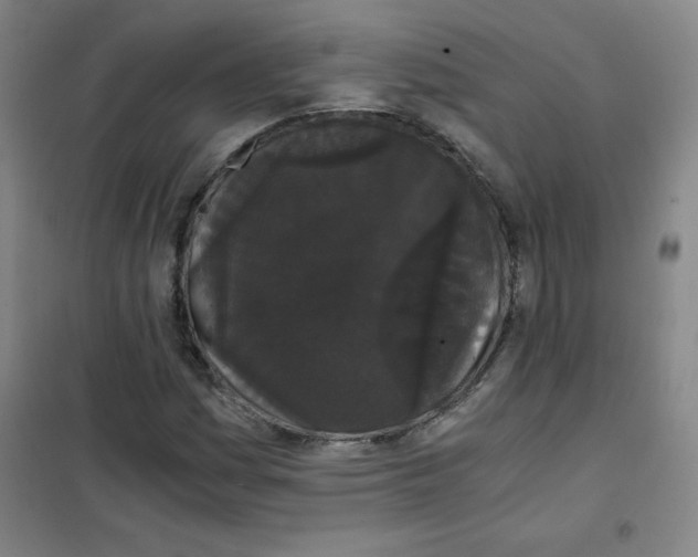 X0000101391161200808041010