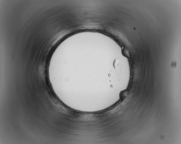 X0000101391162200808041010