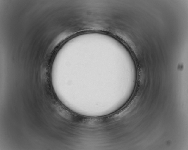 X0000101391163200808041010