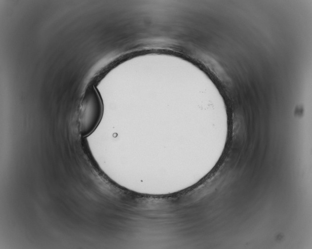 X0000101391164200808041010